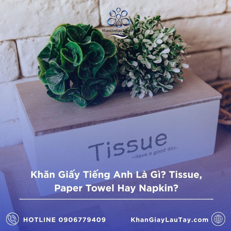 khan-giay-tieng-anh-la-gi-tissue